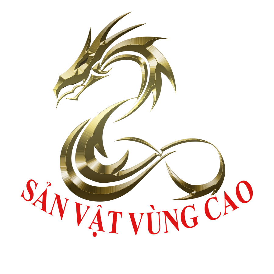 sanvatvungcao.vn